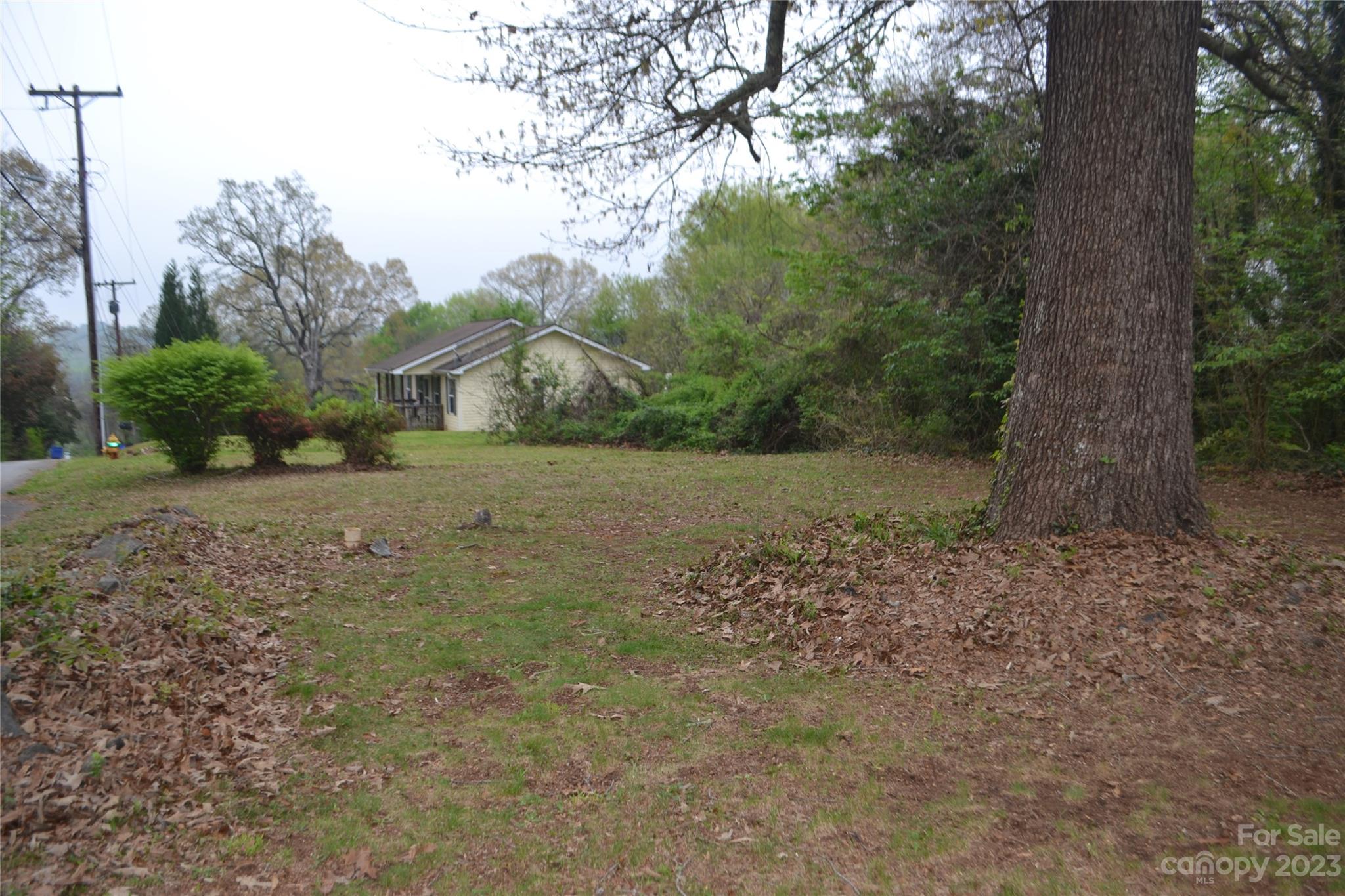 147 Gabriel Street Rutherfordton, NC 28139 - Photo 28 of 29 a view of a yard with a tree