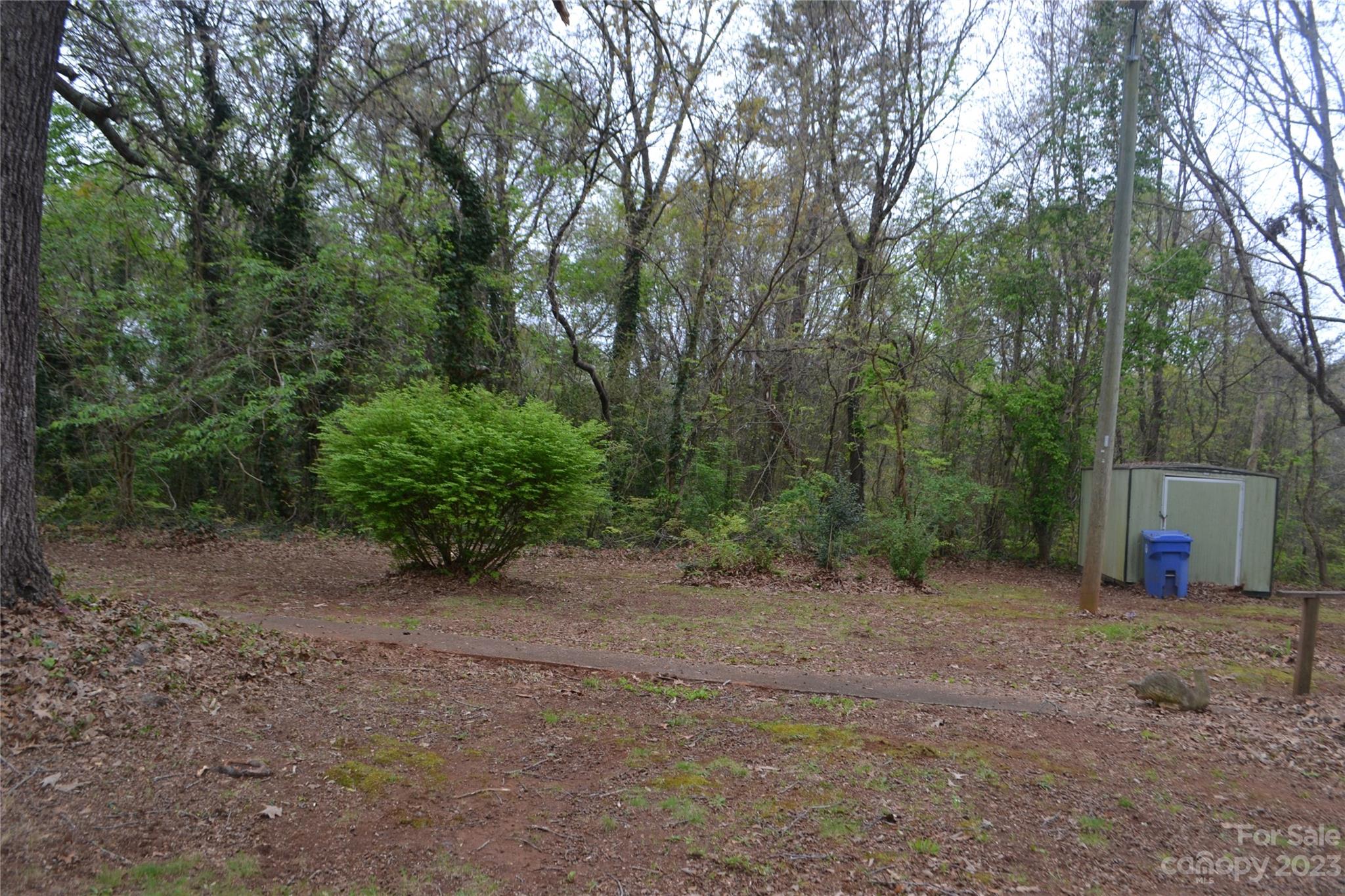 147 Gabriel Street Rutherfordton, NC 28139 - Photo 29 of 29 a view of a field with trees in the background