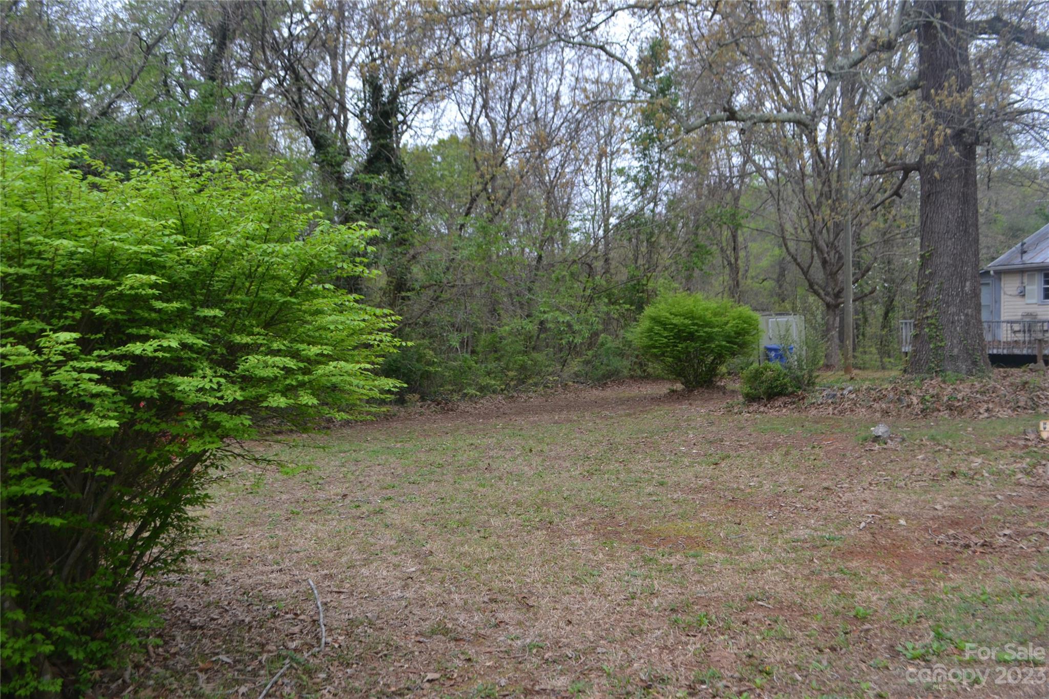 147 Gabriel Street Rutherfordton, NC 28139 - Photo 6 of 29 a view of a forest with trees in the background
