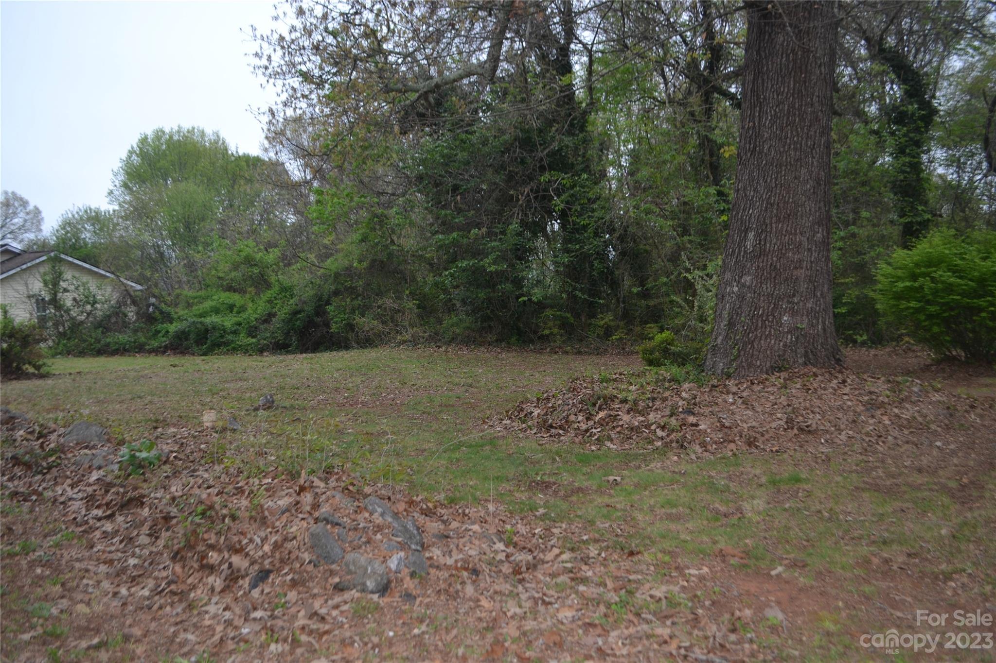 147 Gabriel Street Rutherfordton, NC 28139 - Photo 7 of 29 a view of outdoor space and yard
