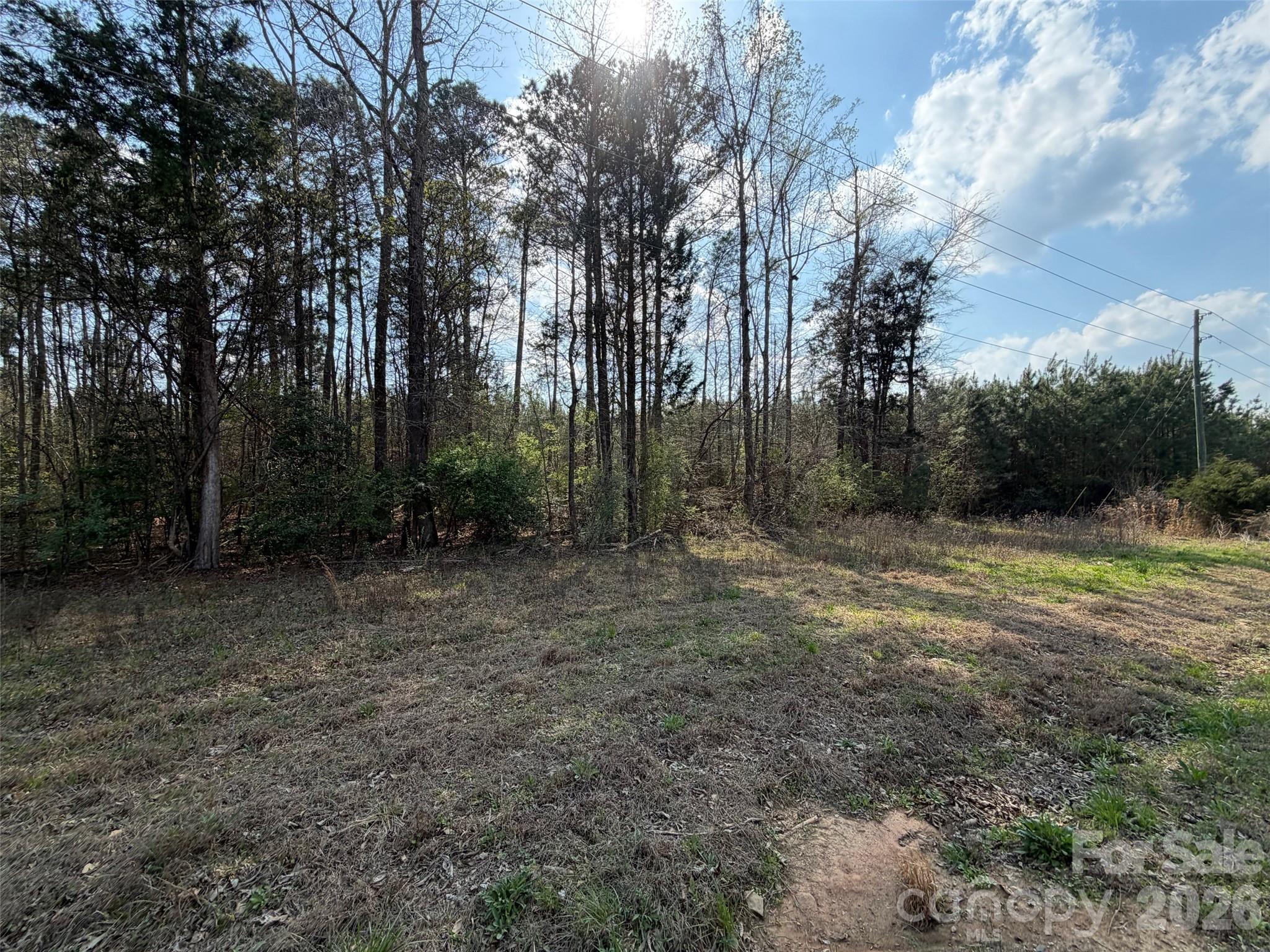 0 Crawford Road Fort Lawn, SC 29714 - Photo 2 of 5 a view of backyard with green space