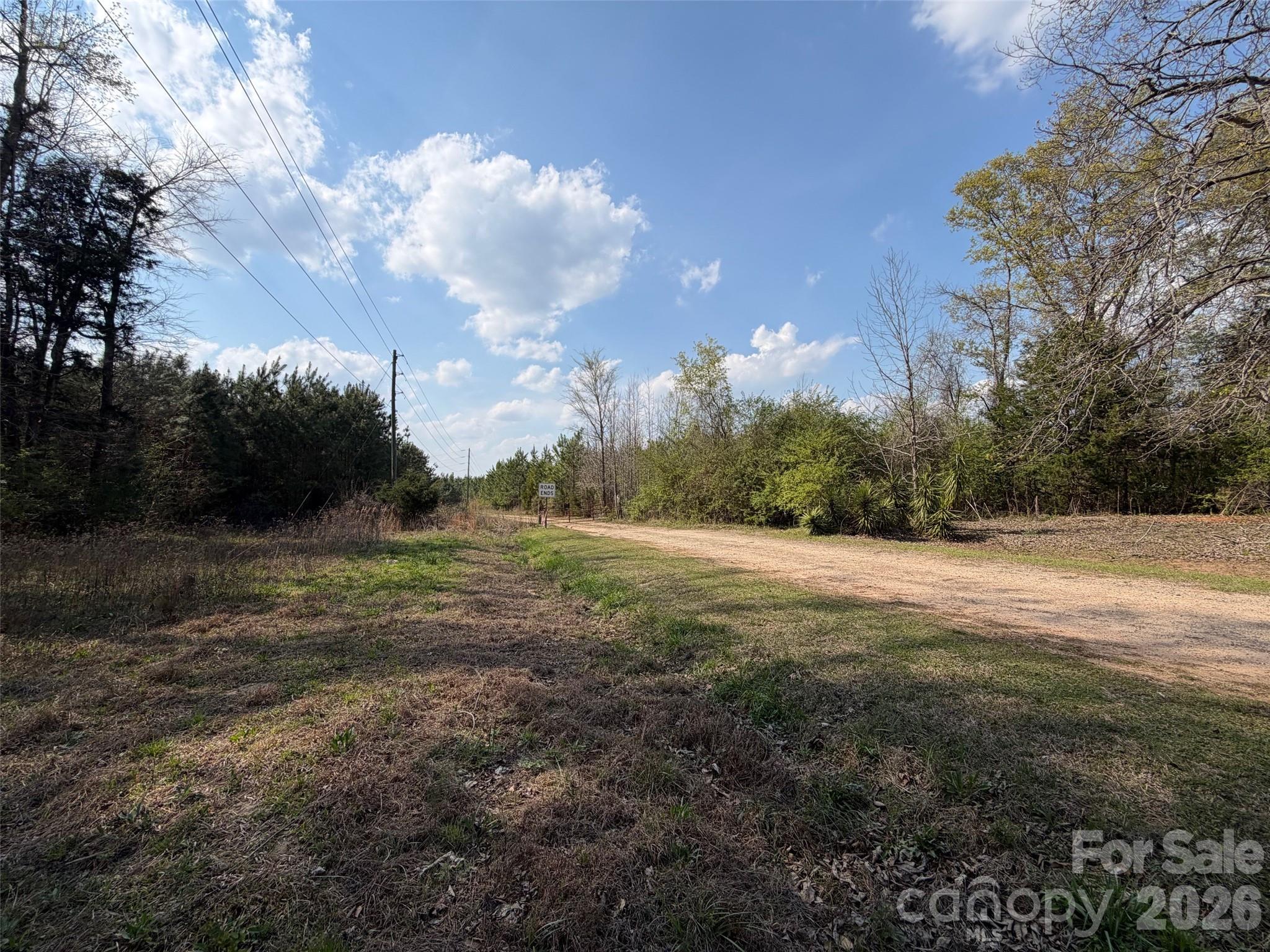 0 Crawford Road Fort Lawn, SC 29714 - Photo 5 of 5