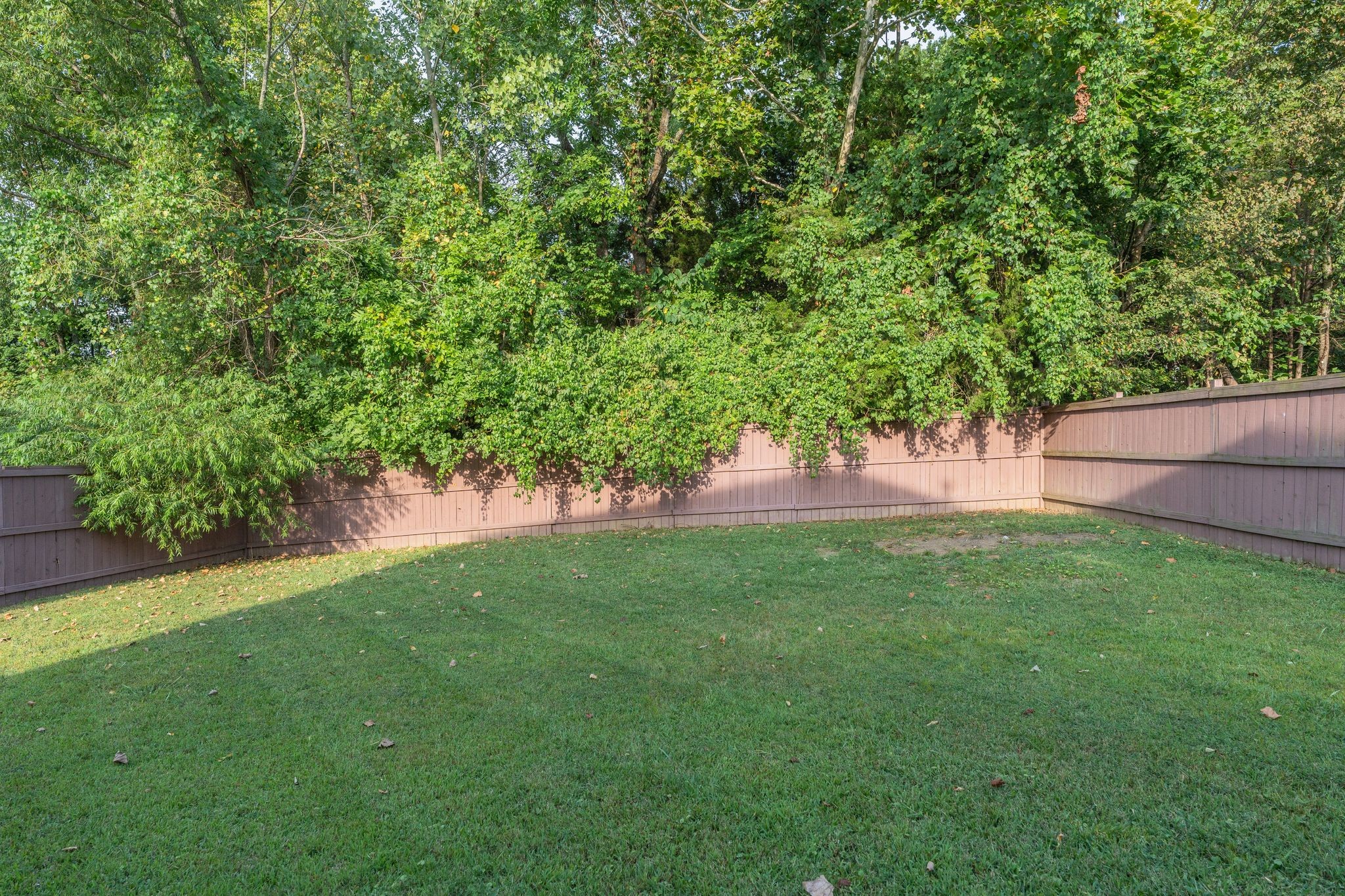 976 Legacy Park Road Mount Juliet, TN 37122 - Photo 30 of 33 View toward rear of backyard