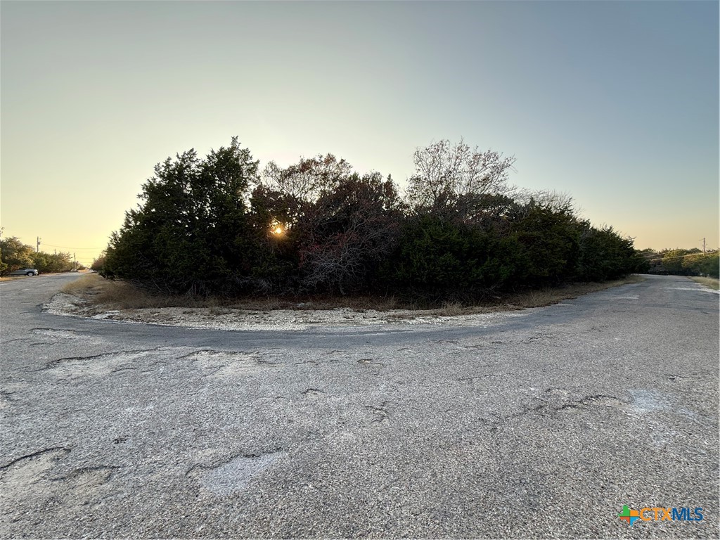 a view of dirt field with trees in background