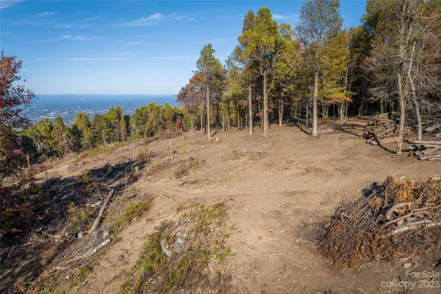 a view of a yard with trees