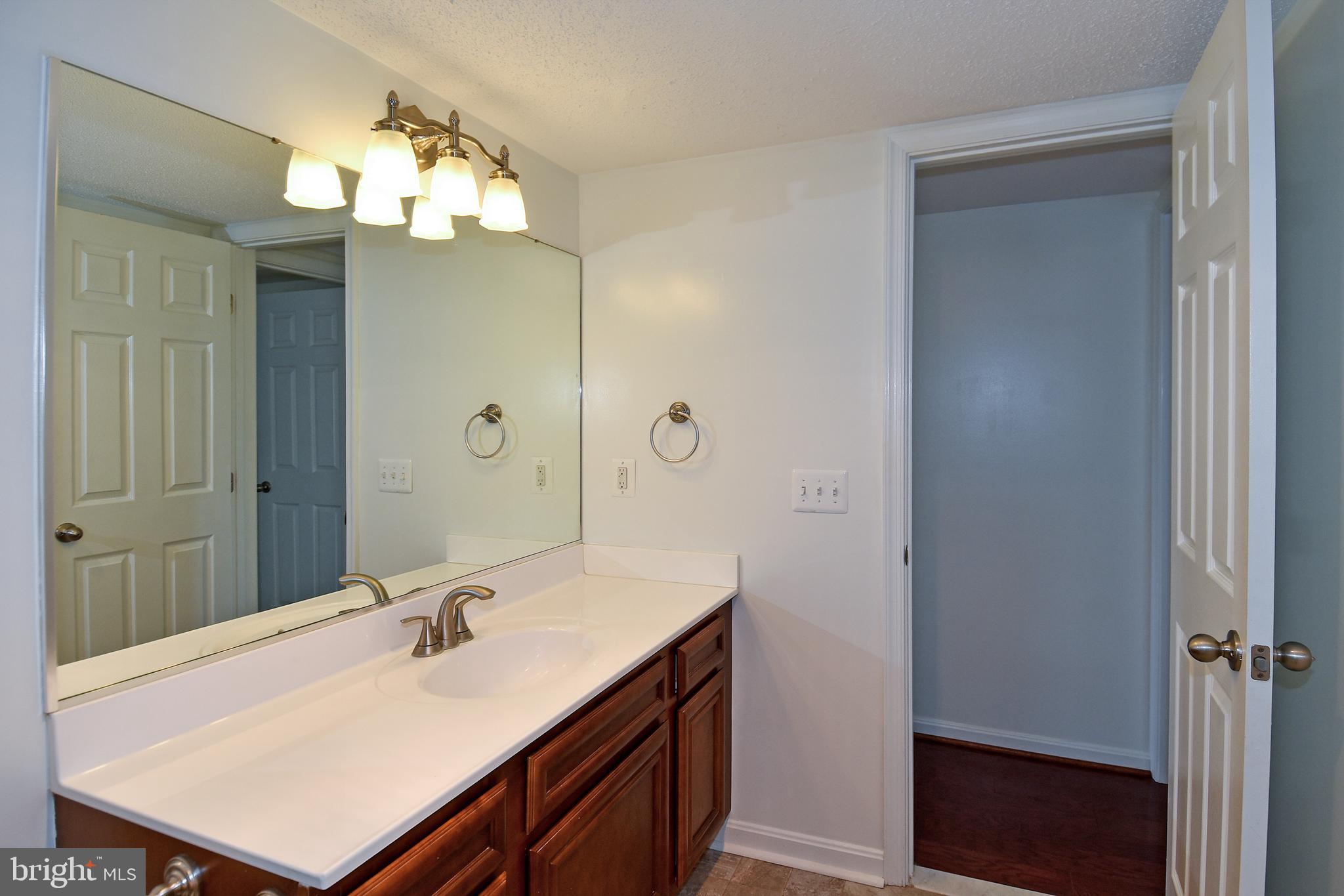 6101 Edsall Road, Unit 1706 Alexandria, VA 22304 - Photo 21 of 40 a bathroom with a sink a light fixture and a mirror