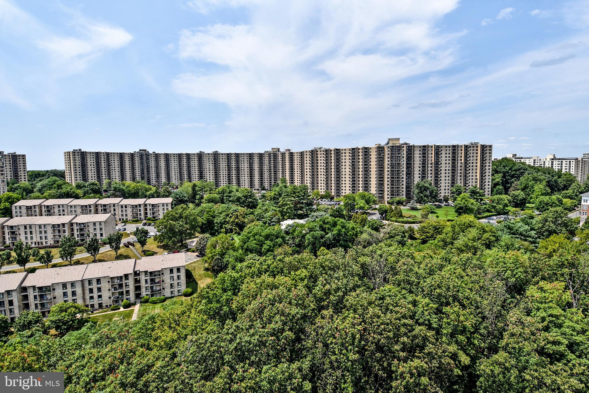 6101 Edsall Road, Unit 1706 Alexandria, VA 22304 - Photo 5 of 40 a view of a garden with an outdoor seating