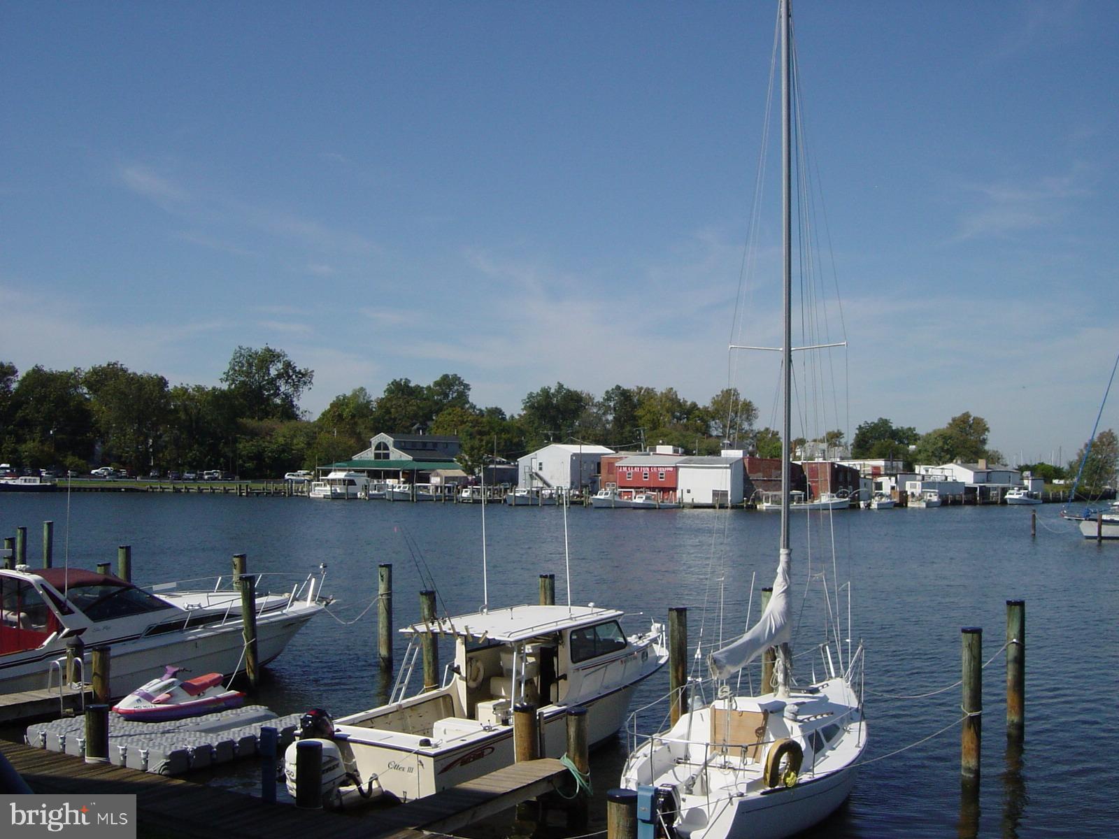 304 Academy Street, Unit 101 Cambridge, MD 21613 - Photo 47 of 56 a view of a lake from a balcony