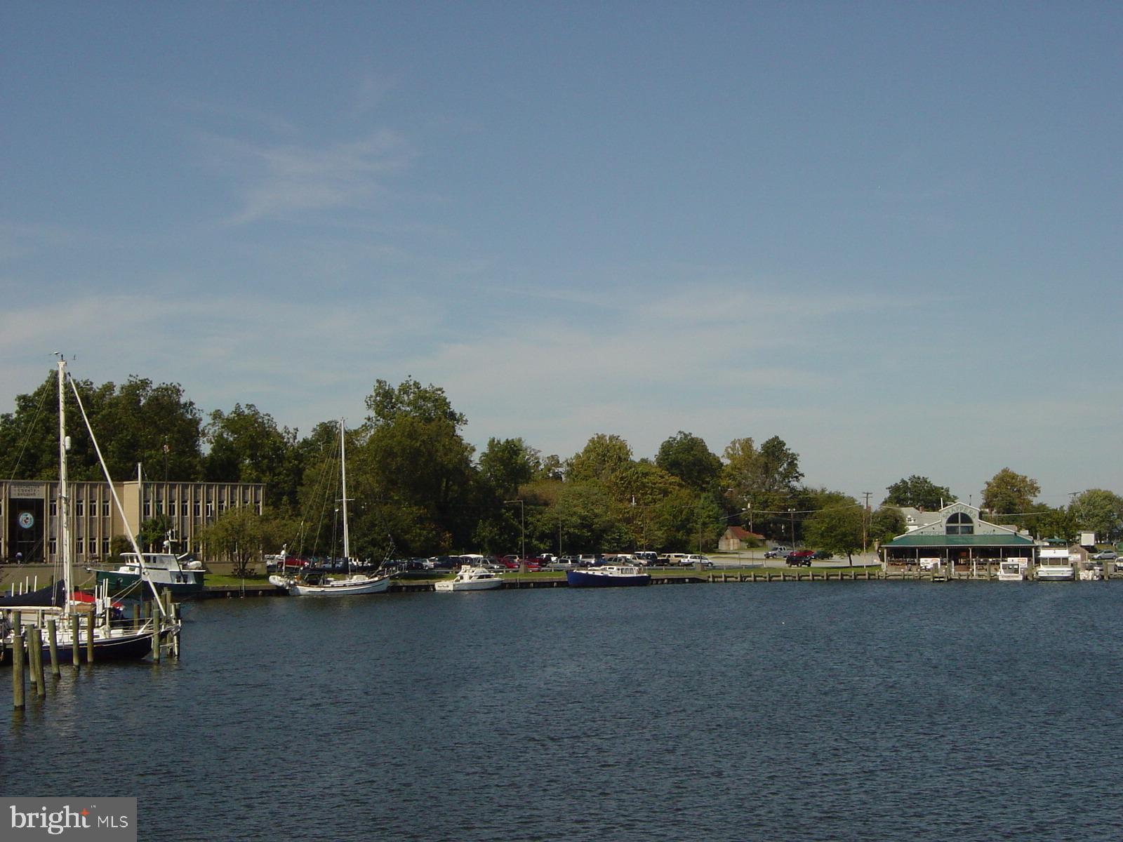 304 Academy Street, Unit 101 Cambridge, MD 21613 - Photo 55 of 56