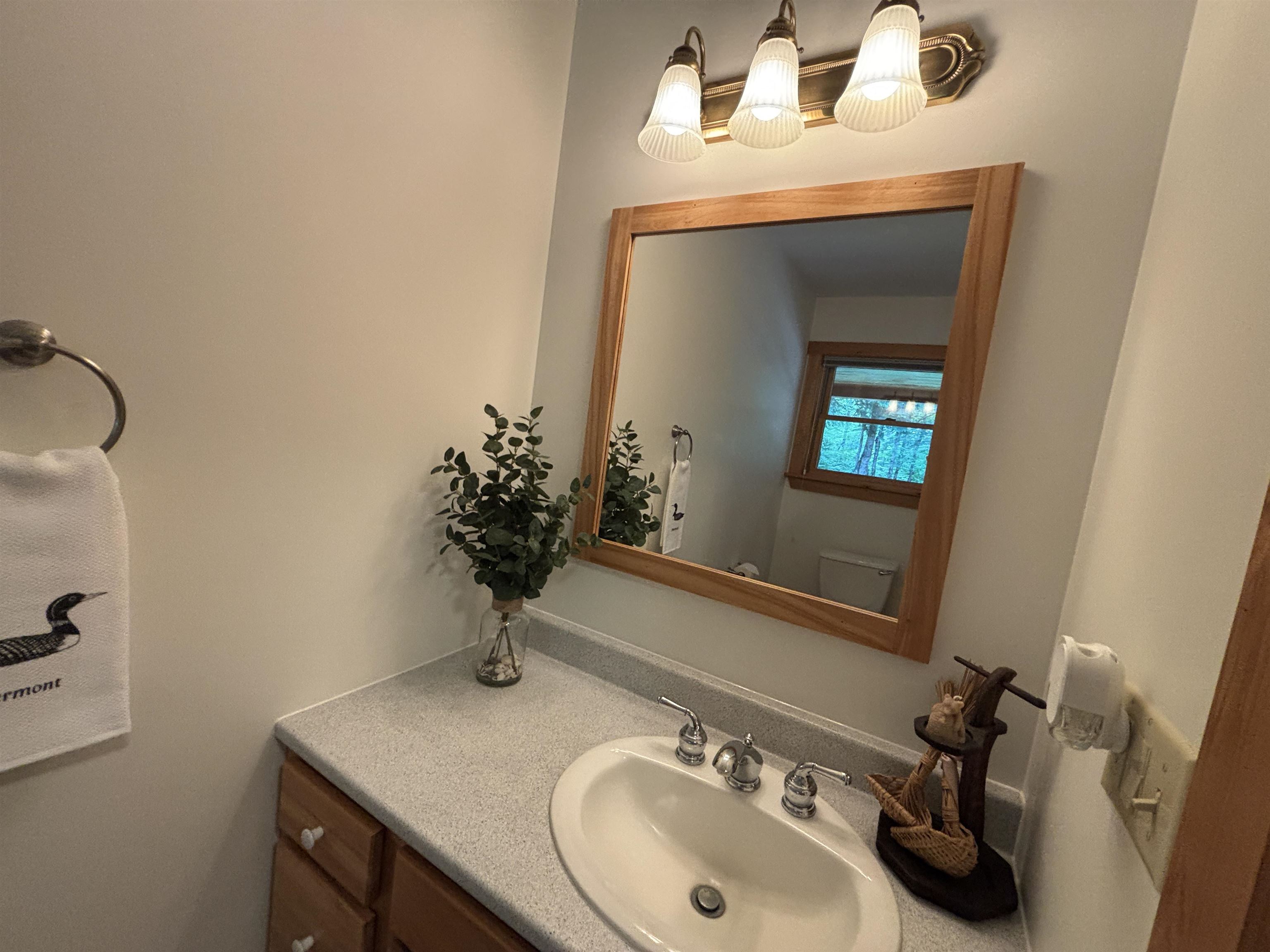 821 Paquette Road Craftsbury, VT 05680 - Photo 24 of 56