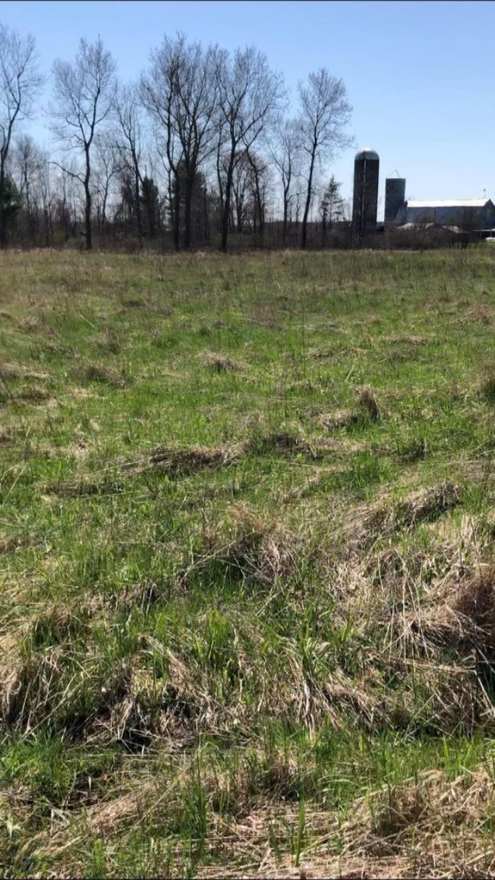 3376 North Custer Road Custer, MI 49405 - Photo 6 of 10 image