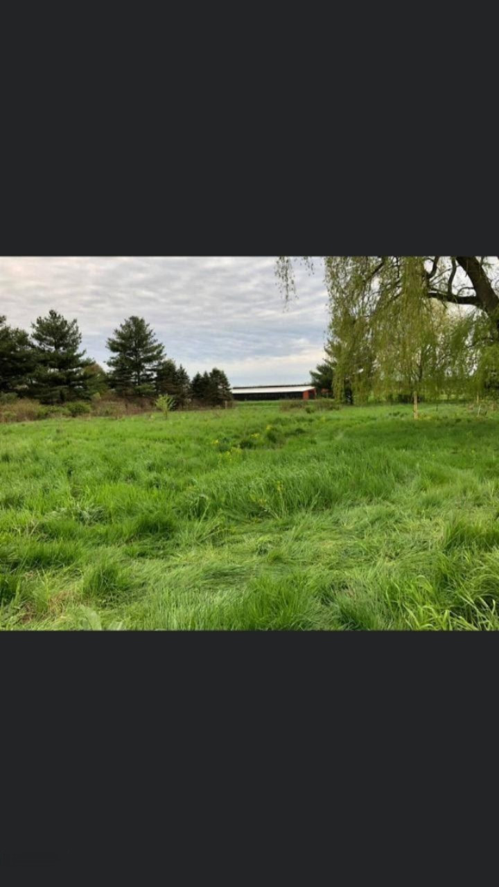 3376 North Custer Road Custer, MI 49405 - Photo 10 of 10 image