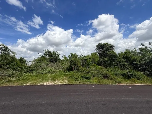 a view of a yard and car parked
