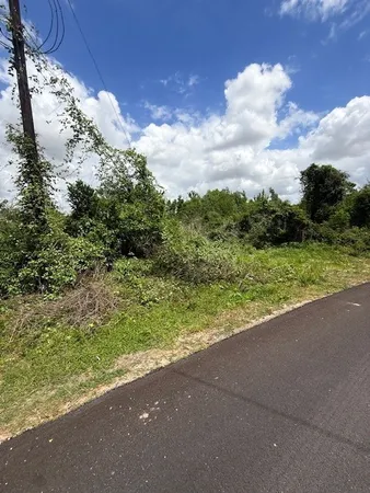 a view of a yard with an trees
