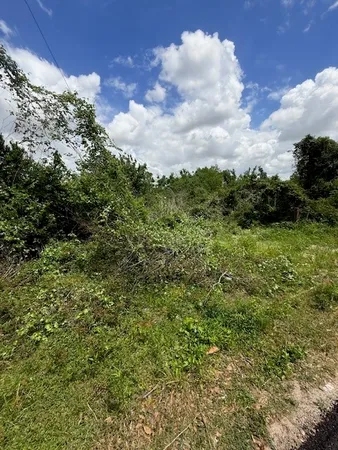 a view of a green field with lots of bushes