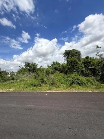 a view of a road with a yard