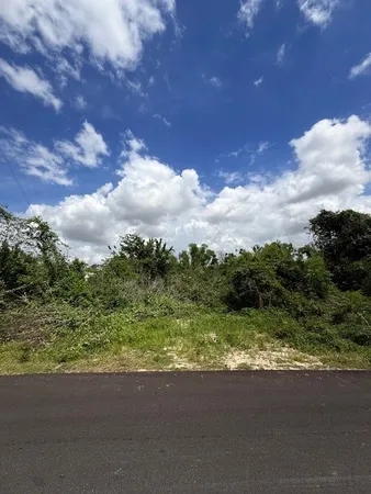 a view of a lake with a yard