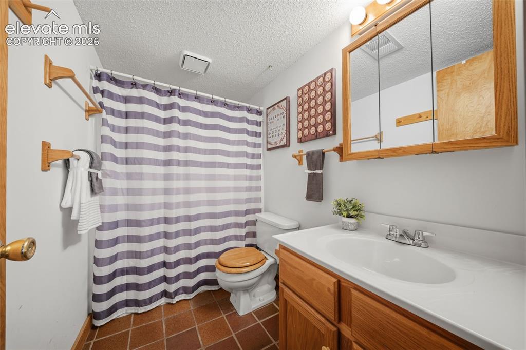 4269 Cedar Mountain Road Divide, CO 80814 - Photo 20 of 39 Basement level full bathroom