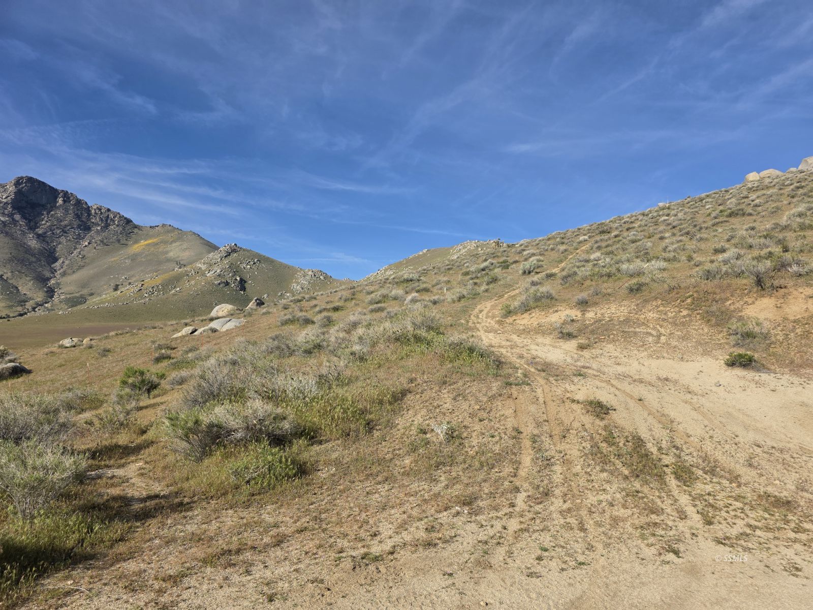 425-072-61 Kelso Valley Road Weldon, CA 93283 - Photo 6 of 8
