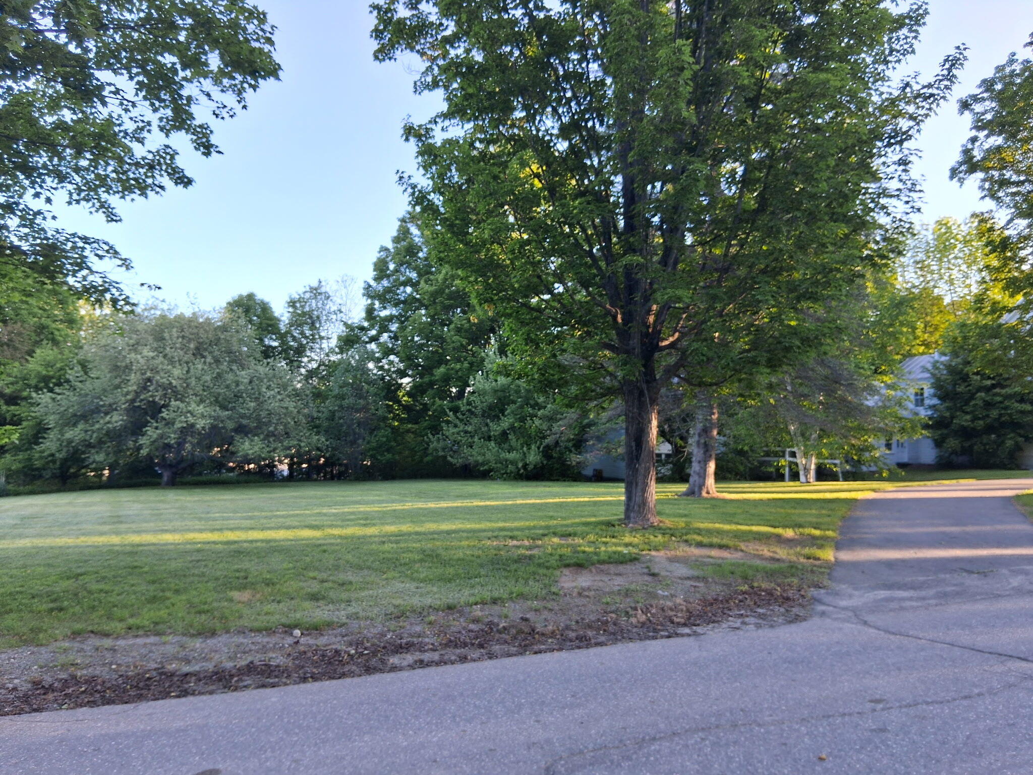 1 Salem Road Kingfield, ME 04947 - Photo 21 of 35 Lawn area