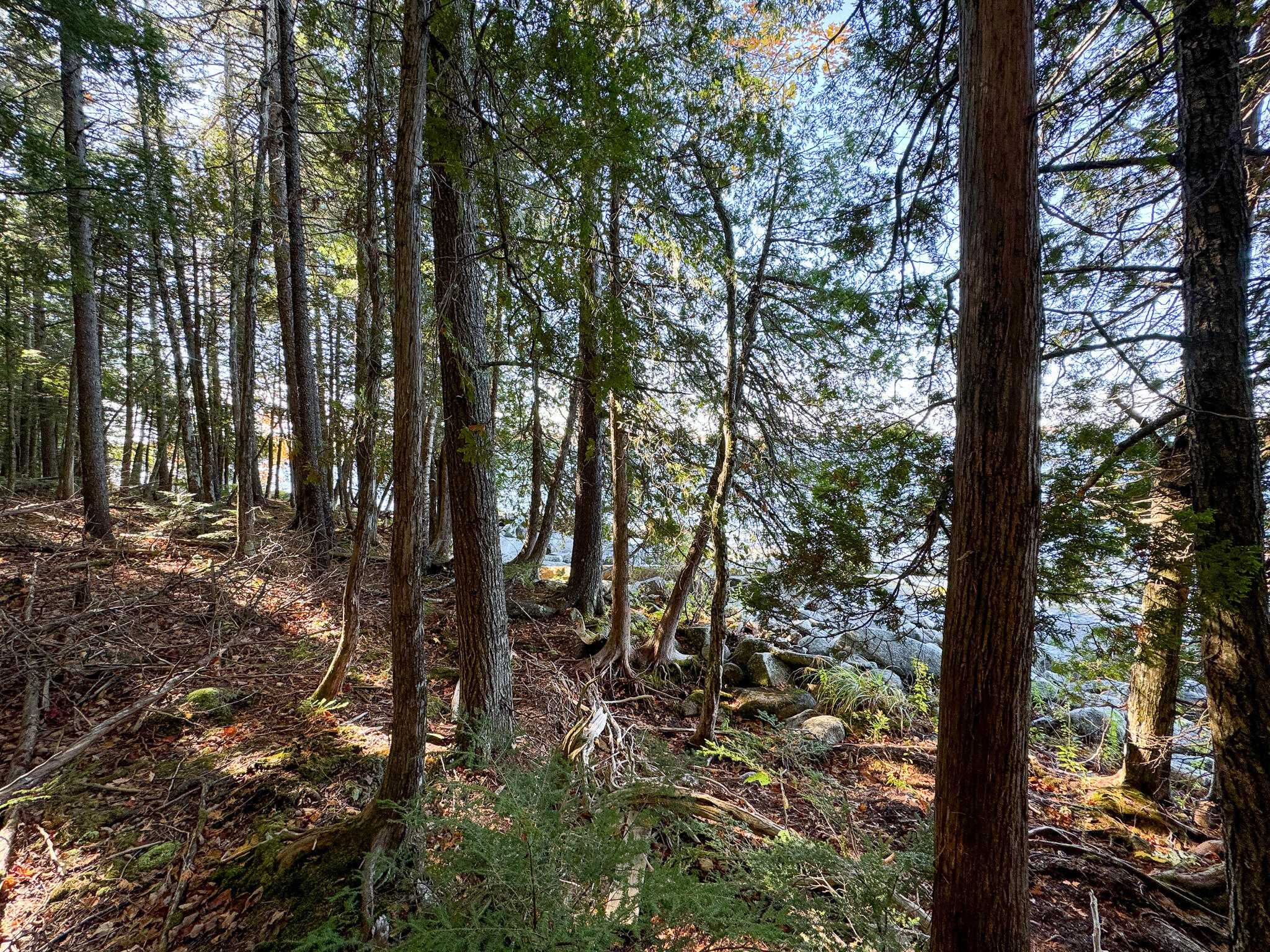 Lot 2 Loop Road Enfield, ME 04493 - Photo 11 of 25 11