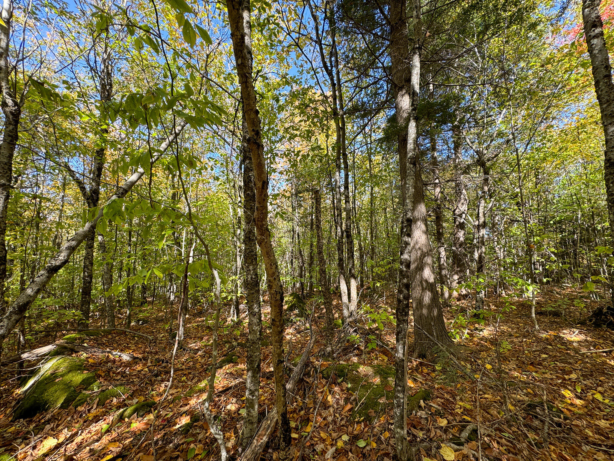 Lot 2 Loop Road Enfield, ME 04493 - Photo 12 of 25 12