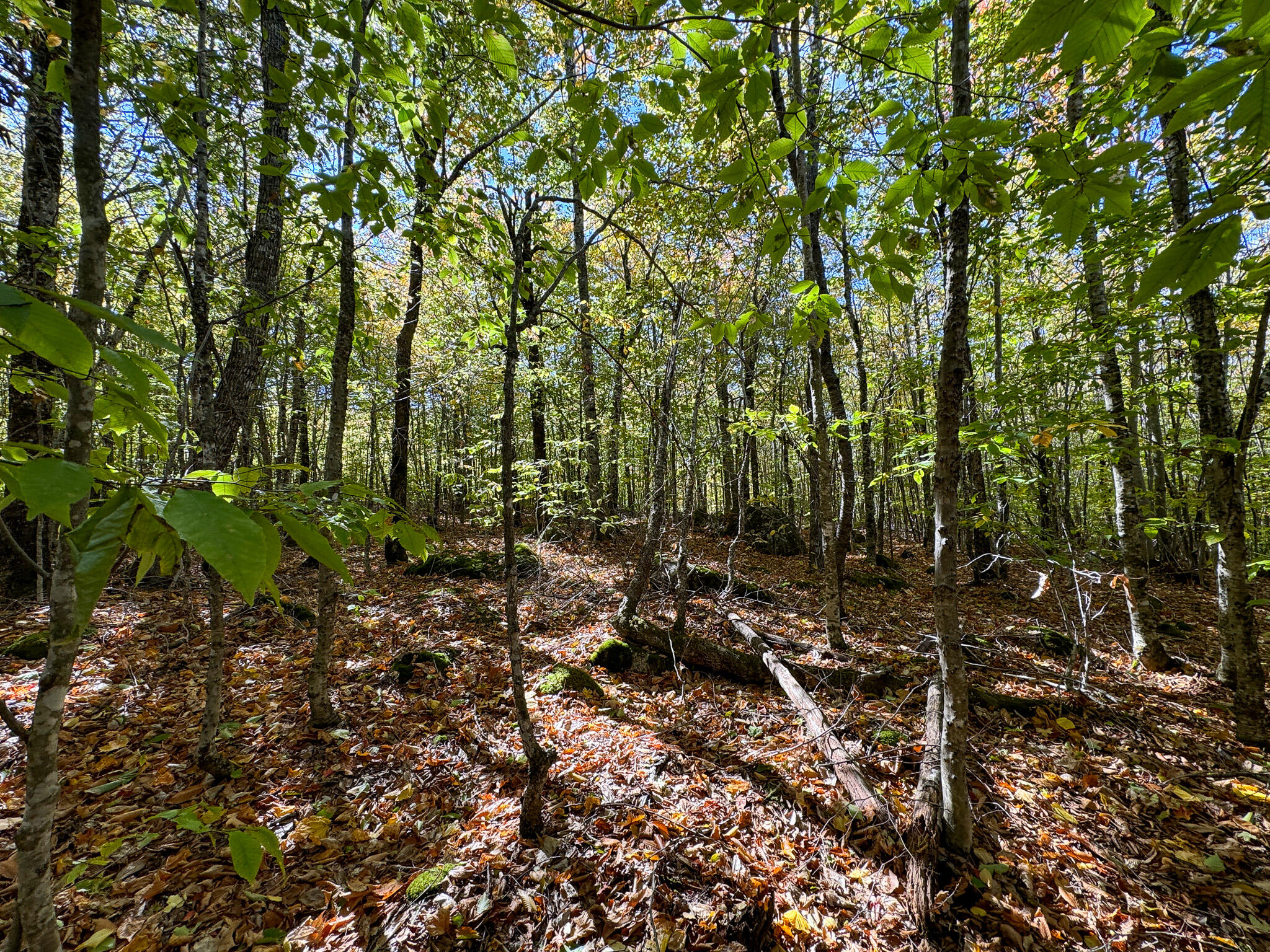 Lot 2 Loop Road Enfield, ME 04493 - Photo 14 of 25 14