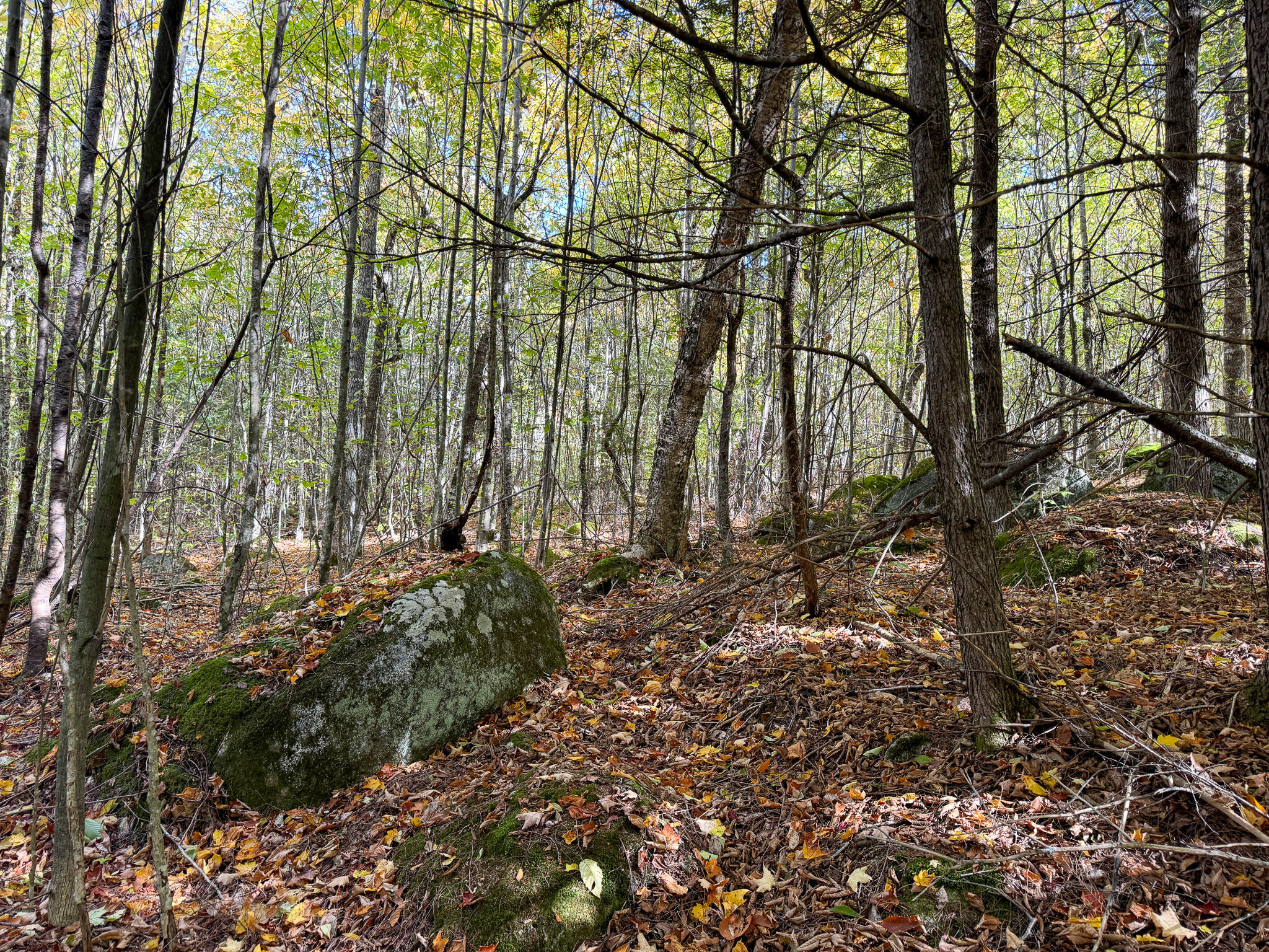 Lot 2 Loop Road Enfield, ME 04493 - Photo 18 of 25 18