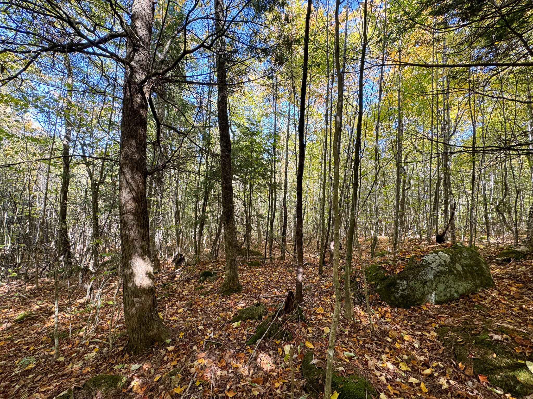 Lot 2 Loop Road Enfield, ME 04493 - Photo 19 of 25 19