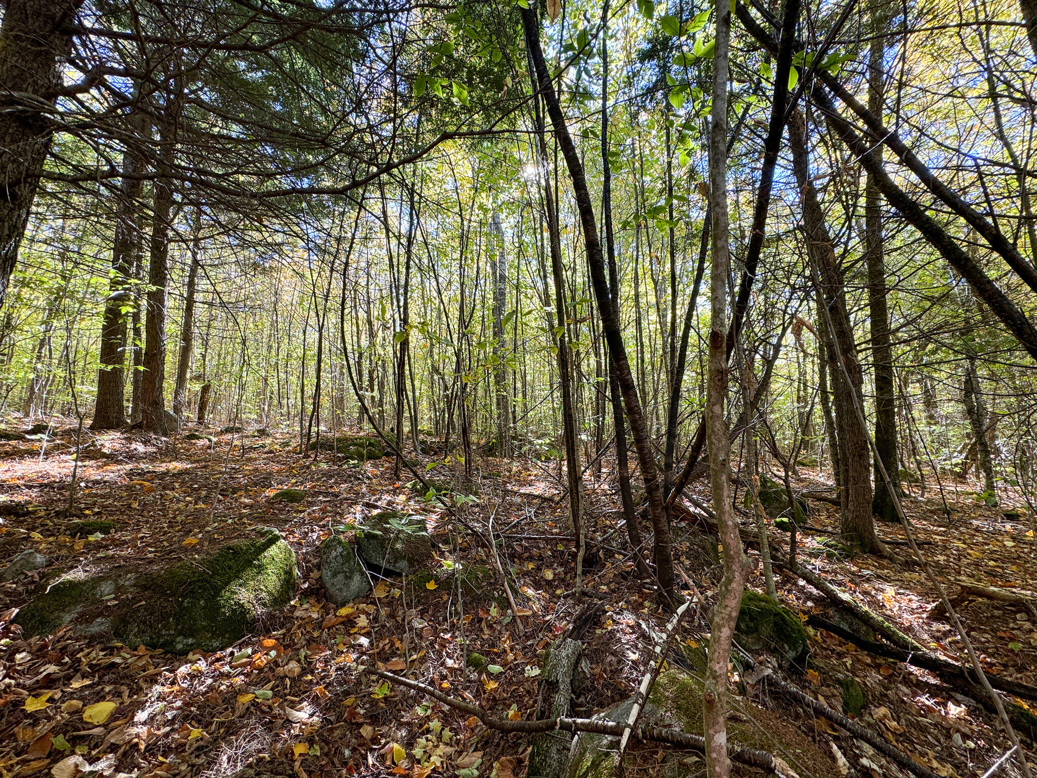 Lot 2 Loop Road Enfield, ME 04493 - Photo 20 of 25 20