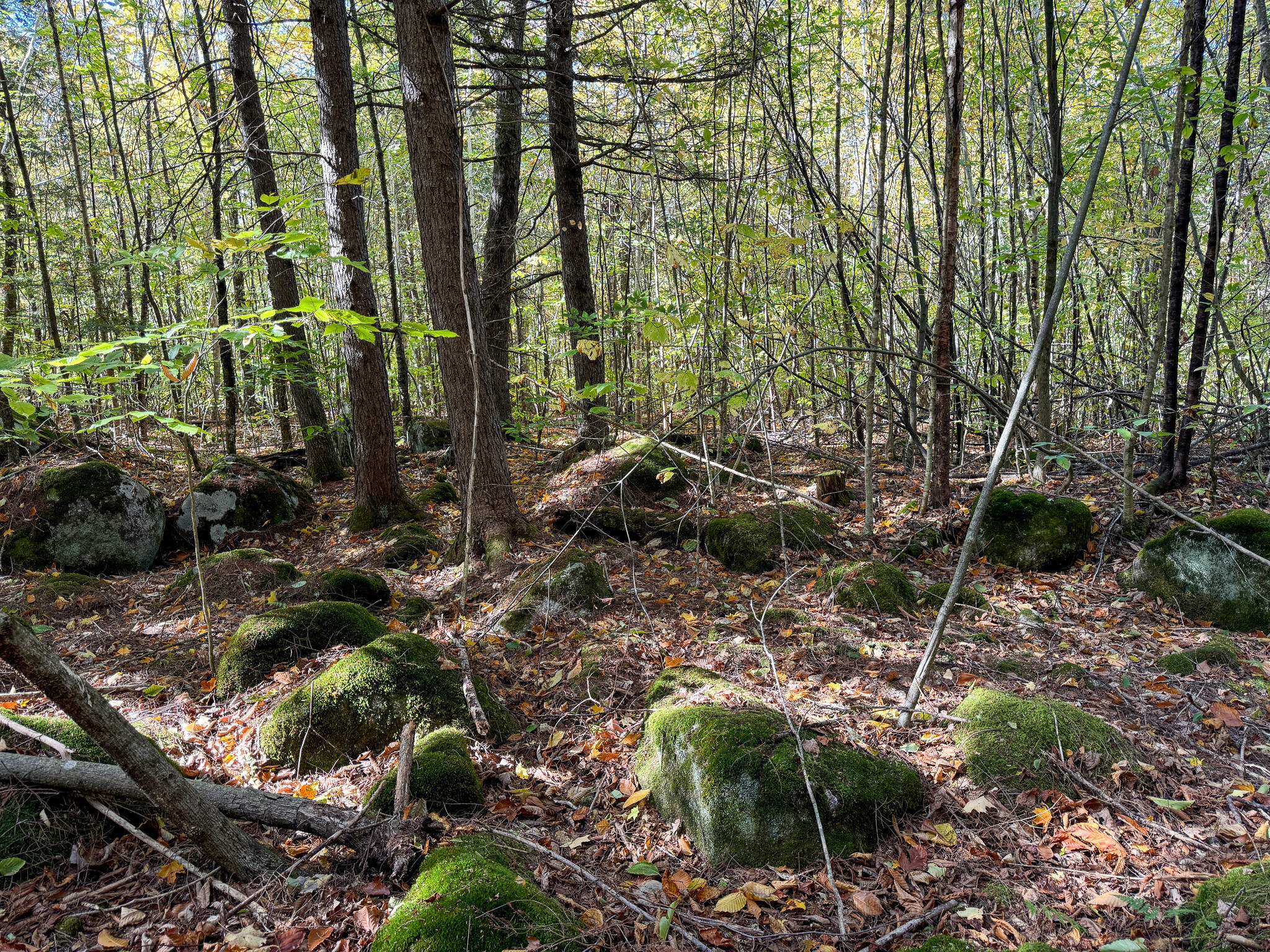 Lot 2 Loop Road Enfield, ME 04493 - Photo 21 of 25 21