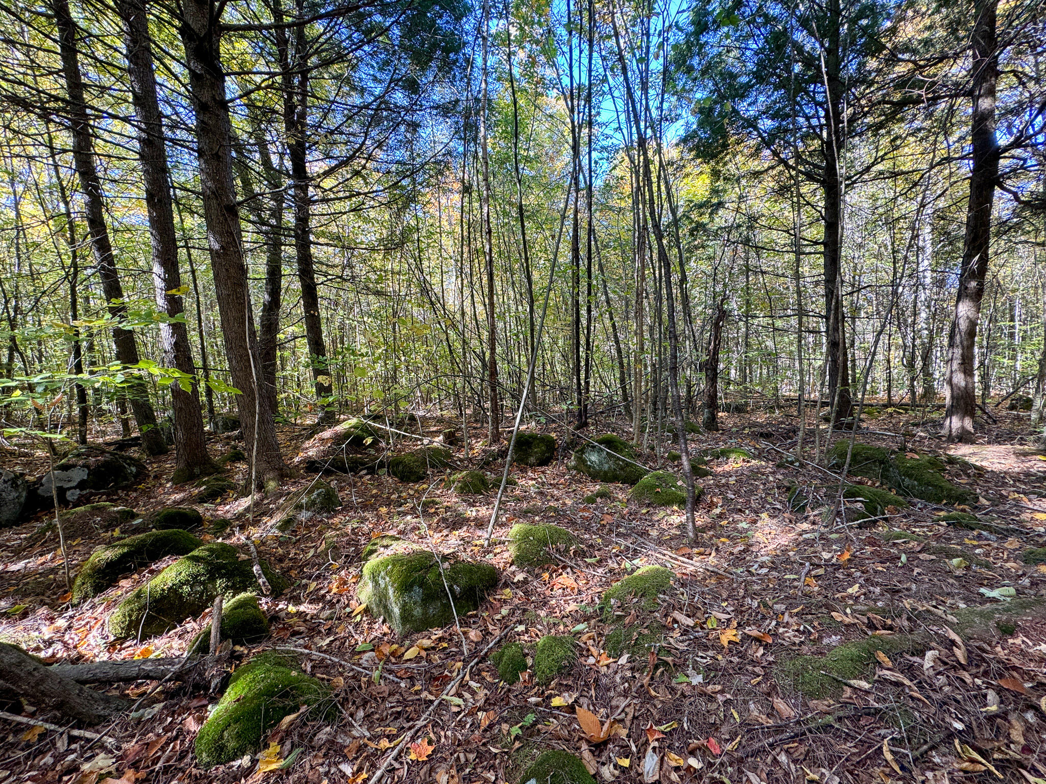 Lot 2 Loop Road Enfield, ME 04493 - Photo 22 of 25 22