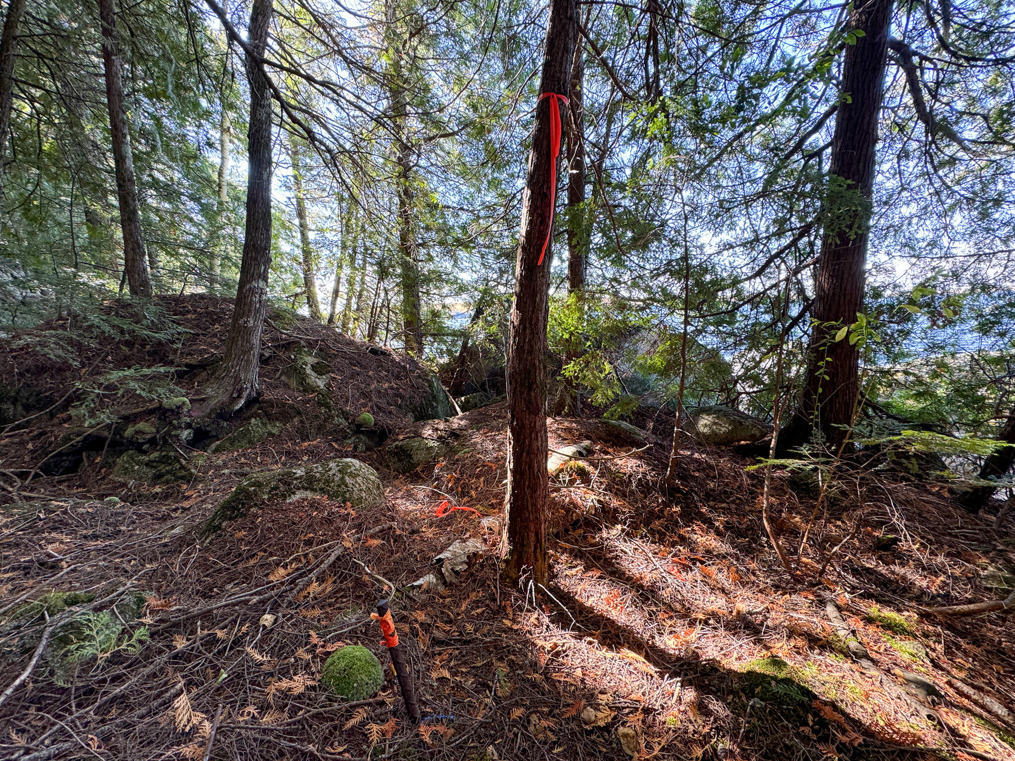 Lot 2 Loop Road Enfield, ME 04493 - Photo 23 of 25 23