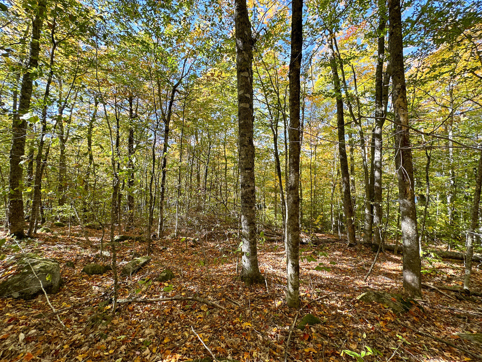Lot 2 Loop Road Enfield, ME 04493 - Photo 24 of 25 24