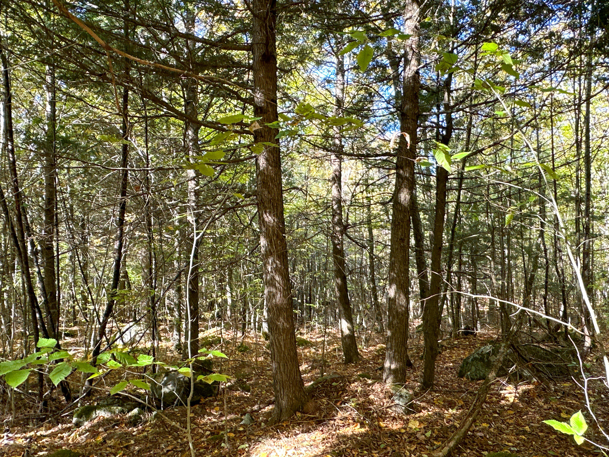 Lot 2 Loop Road Enfield, ME 04493 - Photo 25 of 25 25