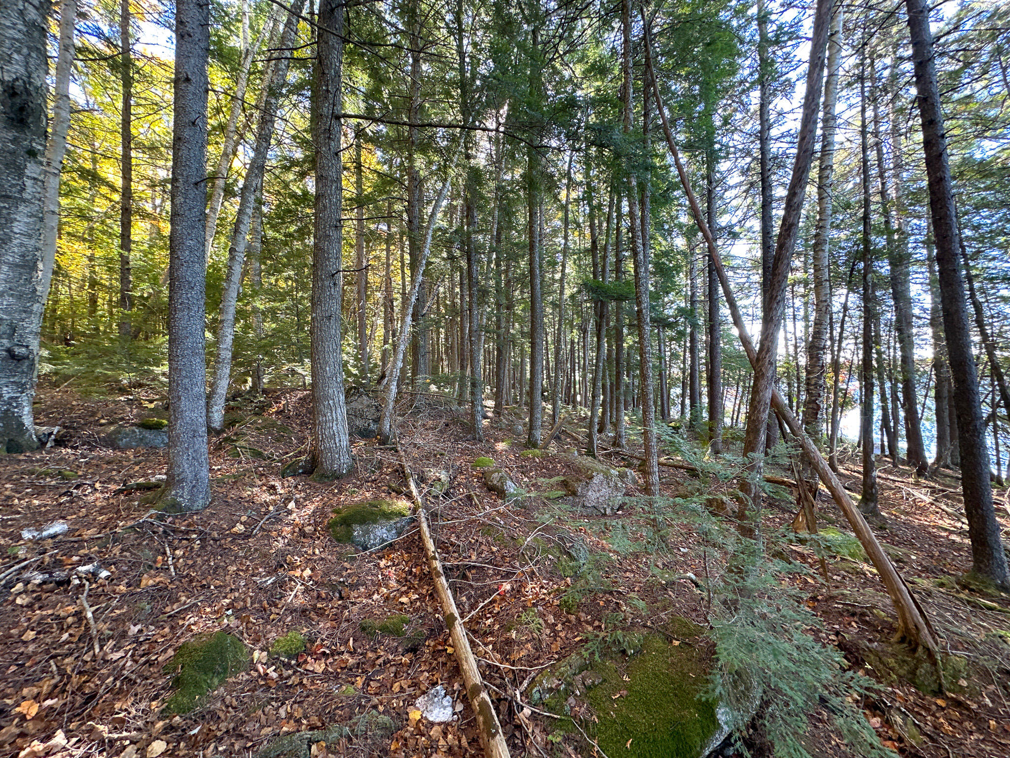 Lot 2 Loop Road Enfield, ME 04493 - Photo 8 of 25 8