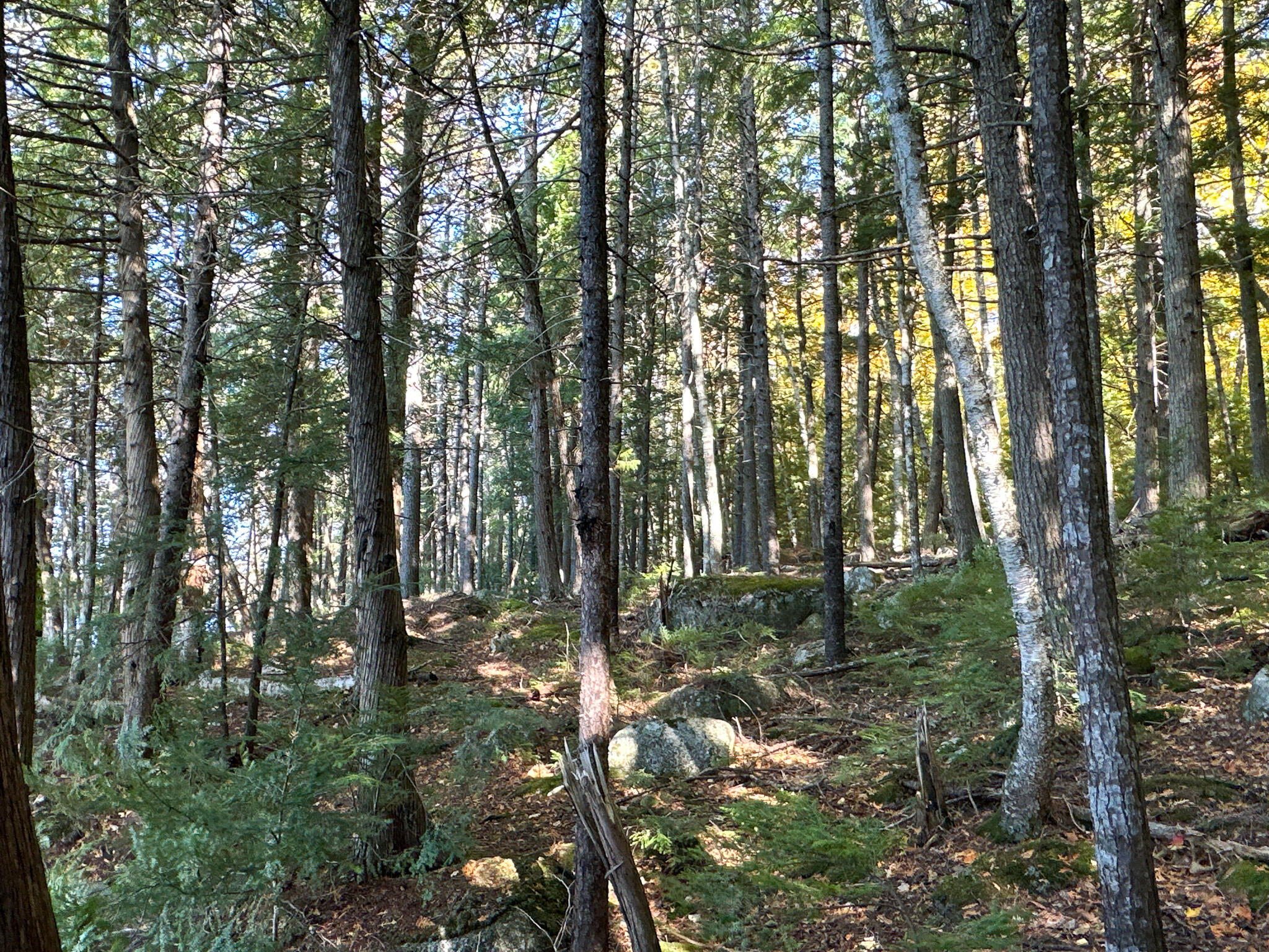 Lot 2 Loop Road Enfield, ME 04493 - Photo 9 of 25 9