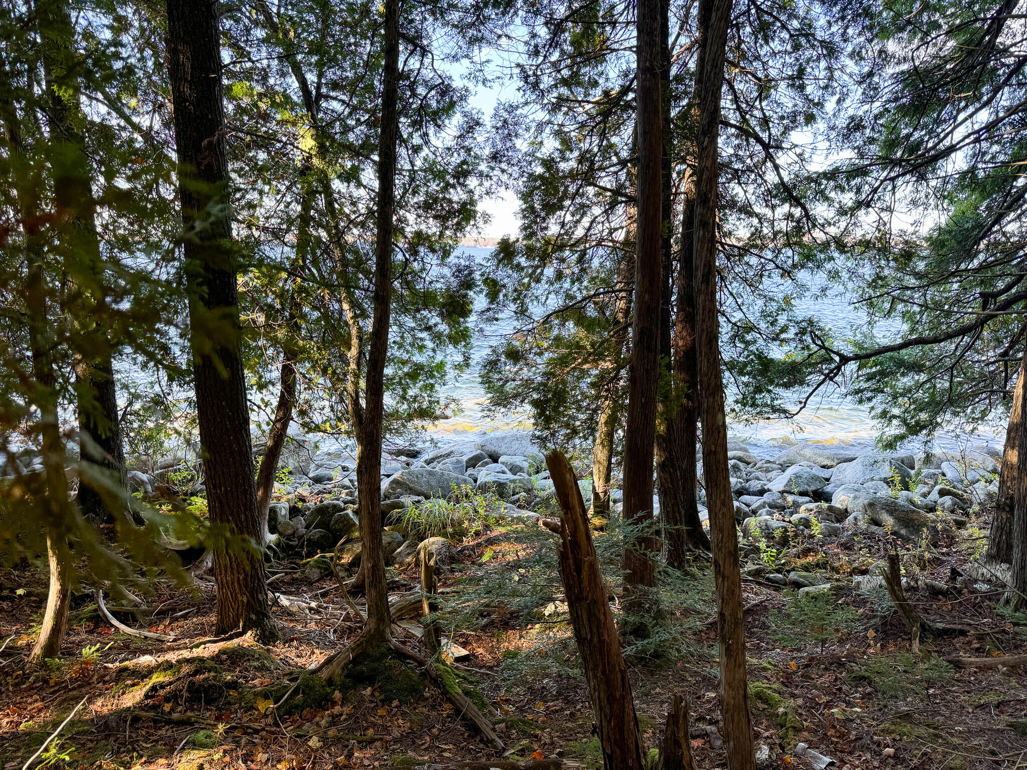 Lot 2 Loop Road Enfield, ME 04493 - Photo 10 of 25 10