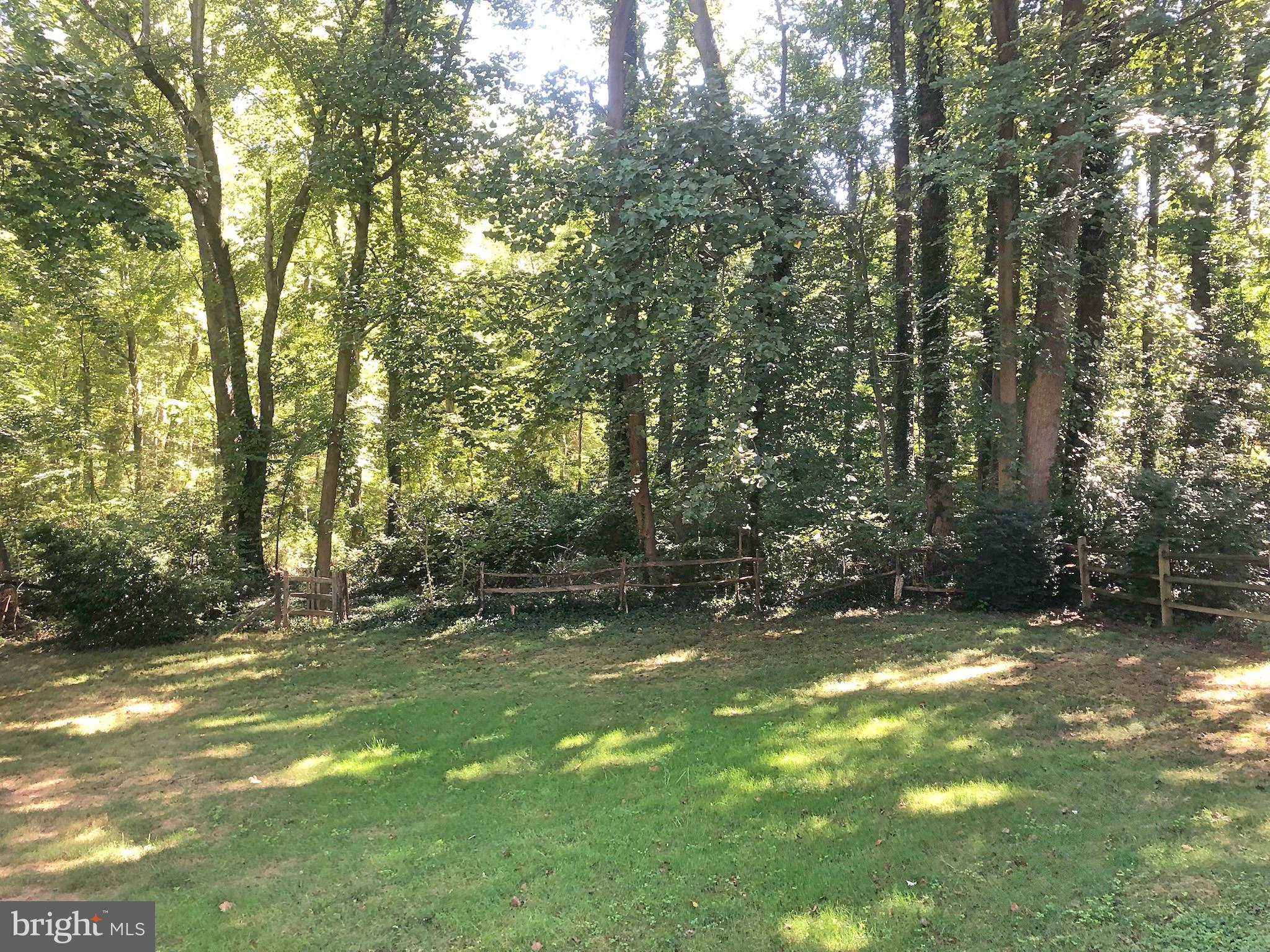 1225 Earnestine Street McLean, VA 22101 - Photo 15 of 16 Yard