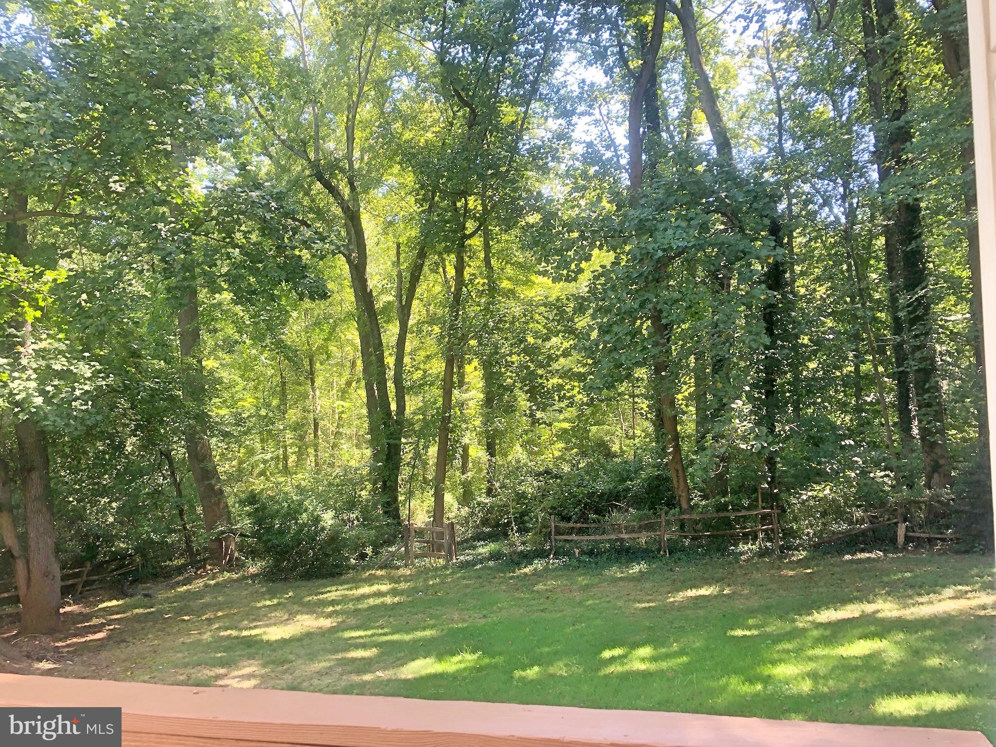 1225 Earnestine Street McLean, VA 22101 - Photo 16 of 16 Yard