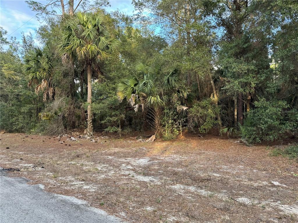 9153 North Peachbud Pt  