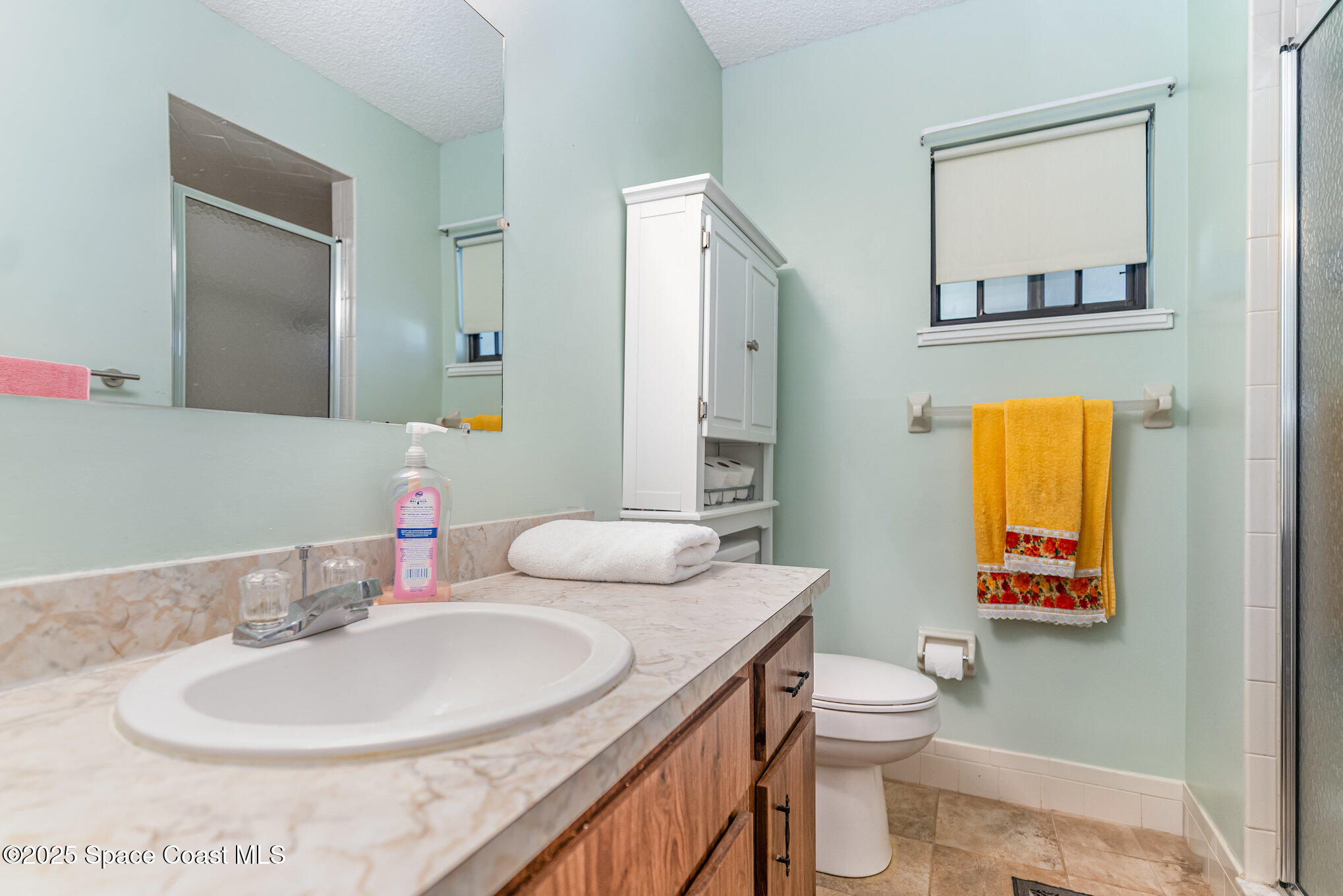 9980 Southwest 101st Lane Ocala, FL 34481 - Photo 20 of 25 a bathroom with a toilet a sink and a mirror
