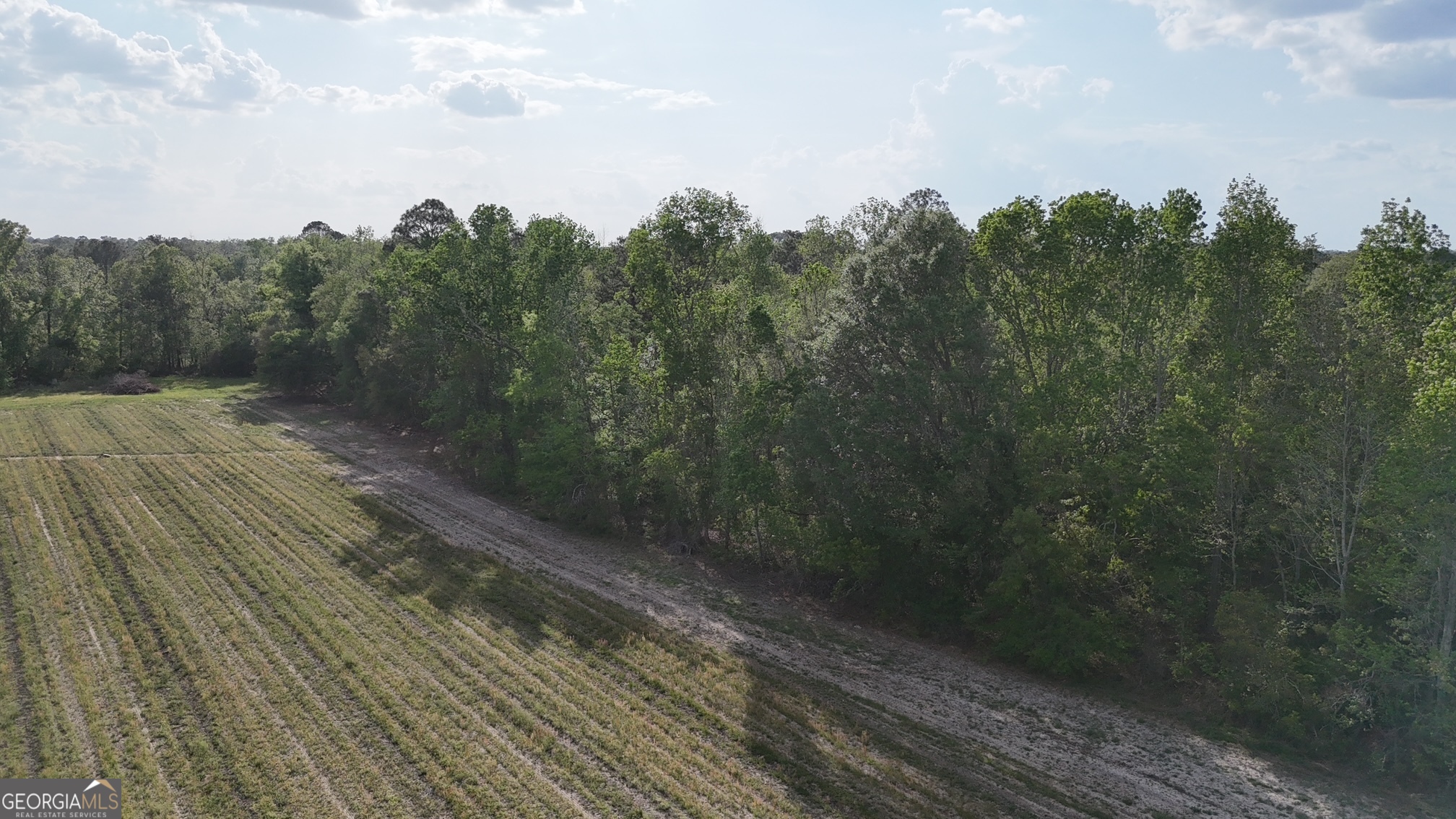 1 Spring Branch Road Baxley, GA 31513 - Photo 15 of 18 a view of a yard