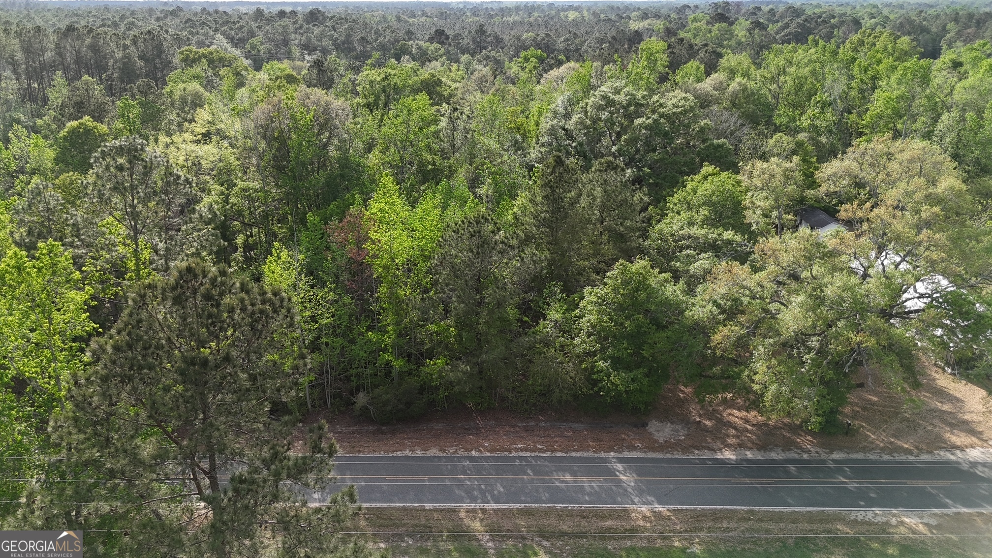 1 Spring Branch Road Baxley, GA 31513 - Photo 17 of 18 a view of a yard with a tree