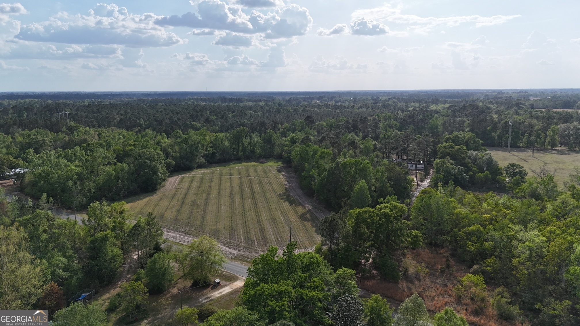 1 Spring Branch Road Baxley, GA 31513 - Photo 3 of 18 an aerial view of house with yard and tree in the background