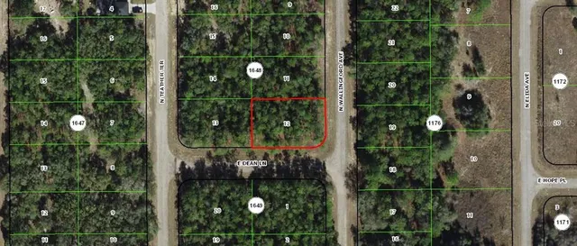$23,900 | 8590 North Wallingford Avenue, Dunnellon, FL 34434