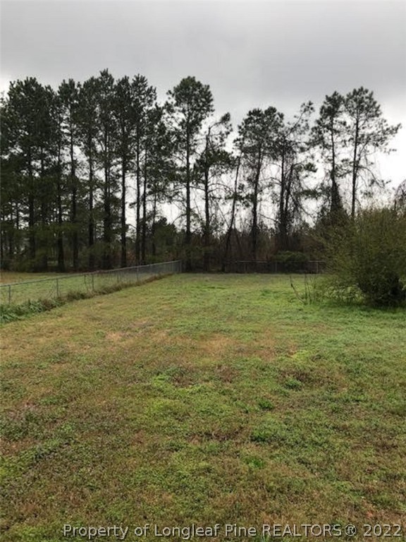 891 Brisson Road St. Pauls, NC 28384 - Photo 25 of 28 Gallery Image 25