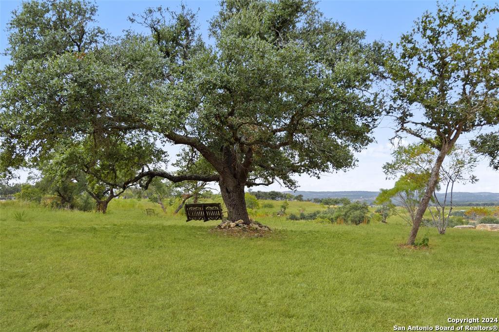 1900 Byrd Ranch Road Johnson City, TX 78636 - Photo 26 of 40