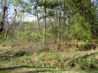 Lot # Camp Charles Road Bailey, NC 27807 - Photo 1 of 1 Primary Photo
