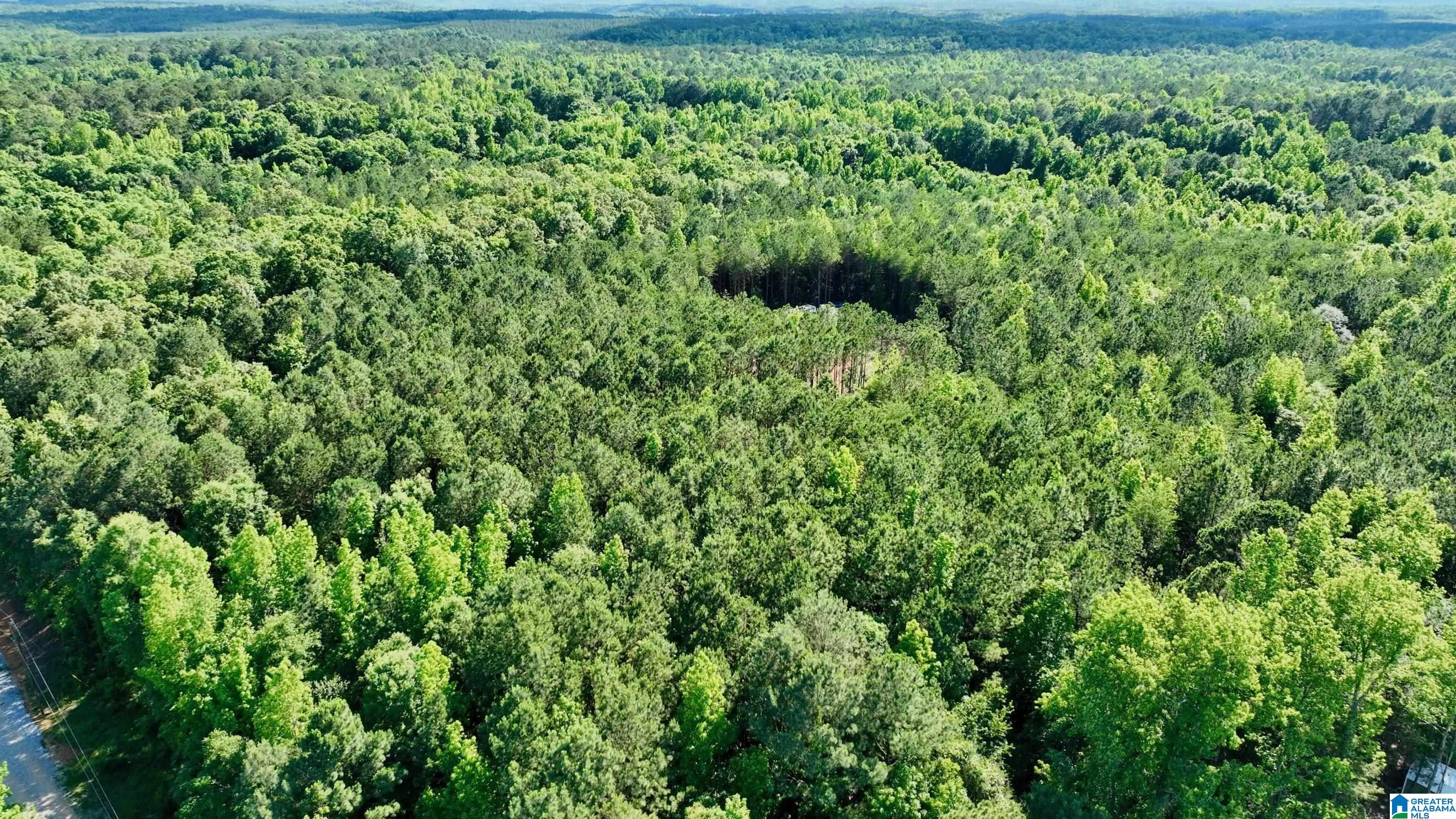 424 Ronbar Road, Unit 1 Columbiana, AL 35051 - Photo 1 of 39